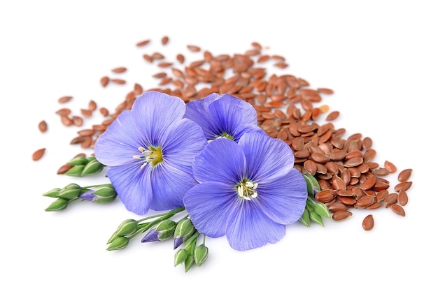 Flax seeds with flowers close up on white