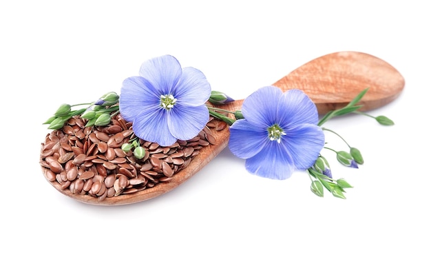 Flax seeds with flowers close up on white