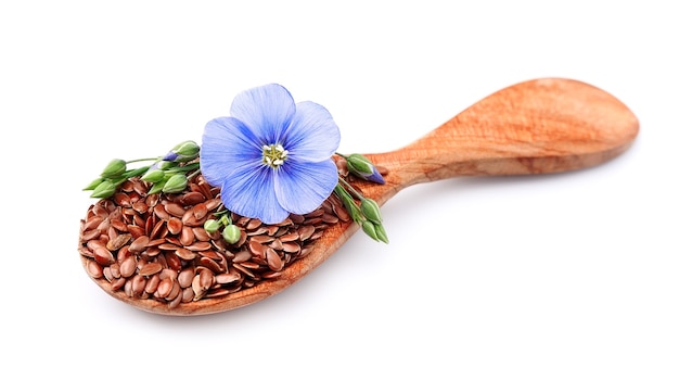 Flax seeds with flowers close up.