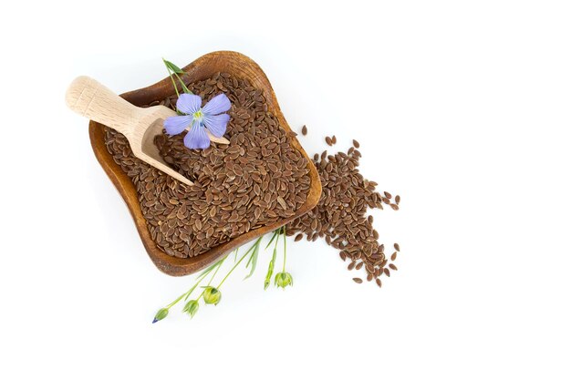 Flax seeds in wooden bowl and blue flax blossom in close up isolated on white background