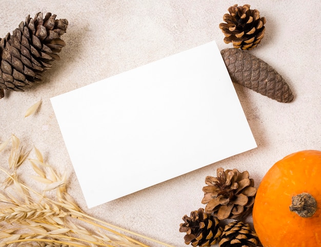 Photo flay lay of blank paper with autumn pine cones