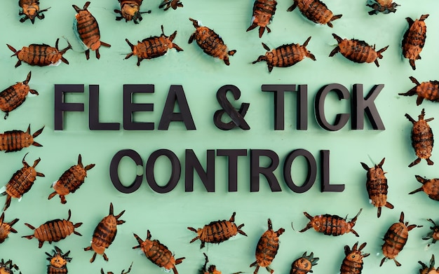 Fleas and ticks control