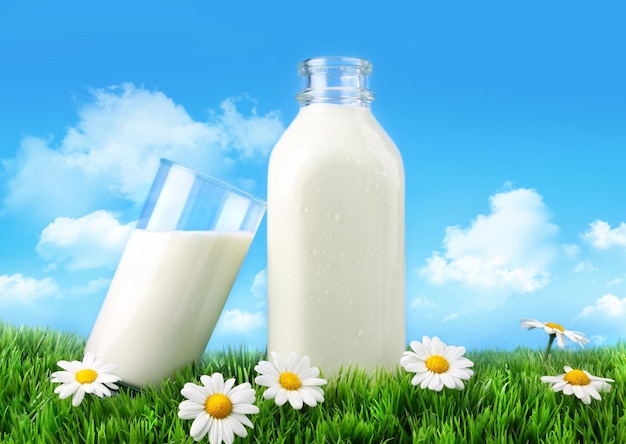 Fles en glas melk met grasmarguerites en hemel.