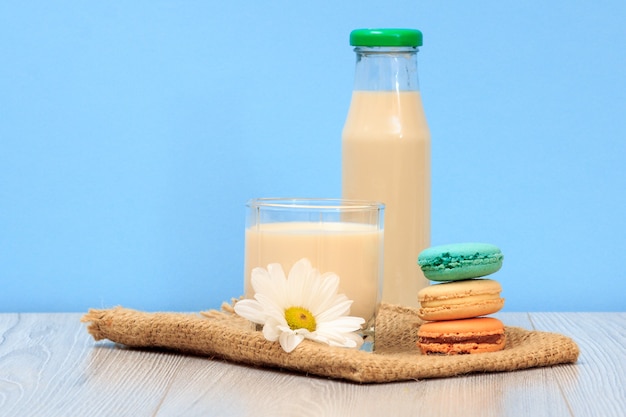 Fles en glas verse melk met kamillebloem en bitterkoekjes op blauwe achtergrond.