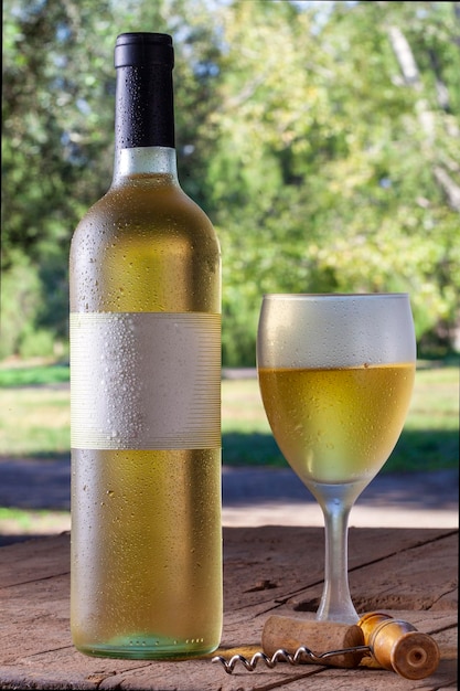 Fles en glas witte wijn