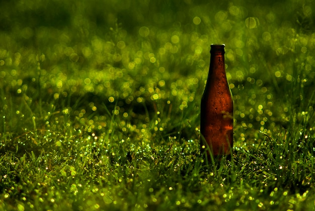 Foto fles in groen gras