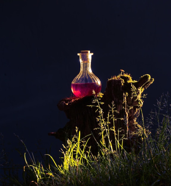 Fles toverdrankjes in magisch bos