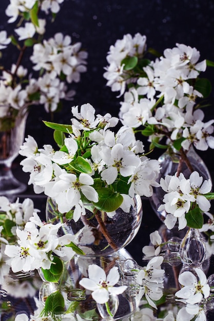 Flessen met bloemen op een donkere achtergrond. Appelboomtakken met witte bloemen in blikjes water.