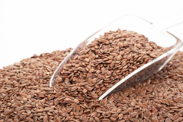 flex seeds on white background. healthy food concept.
