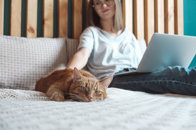 Гибкий график и удаленная работа, домашняя кошка лежит на кровати, женщина использует ноутбук для работы, лежит в спальне, дома