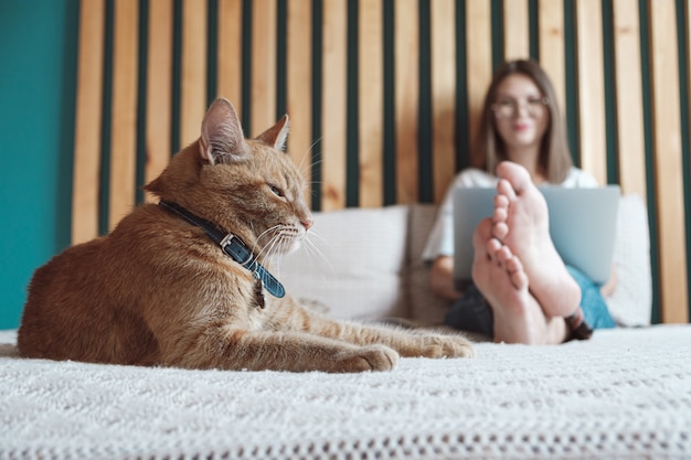 柔軟な時間とリモートワーク、飼い猫はベッドに横になり、女性はラップトップを使用して仕事をし、寝室に横になり、自宅にいます