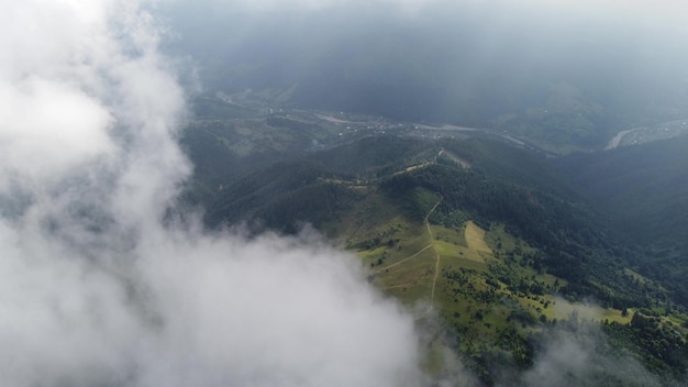 Flight over the green spruce forests in the mountains in summer in the fog