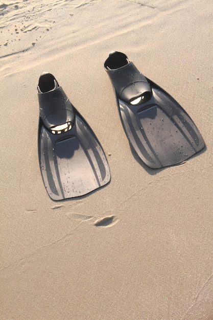 Flippers in the sand at the beach