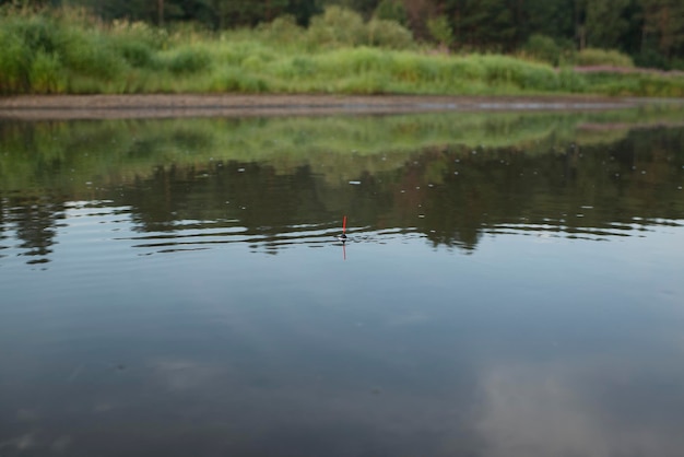 Float in the water, fishing in nature in the river