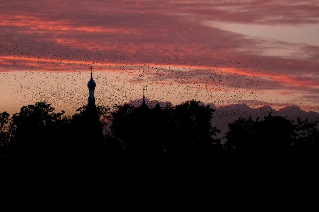 Uno stormo di uccelli sullo sfondo di una chiesa e un tramonto rosso. un concetto mistico