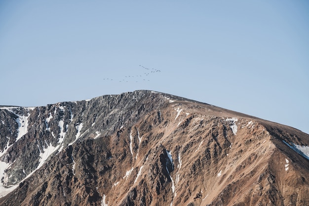 Flock of birds in blue sky fly over snowy mountain ridge.