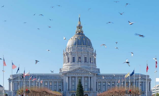 Photo flock of birds flying over church against sky