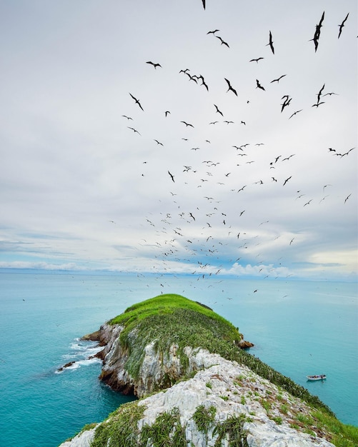 鳥の群れが島の上を空に向かって海の中を飛んでいます