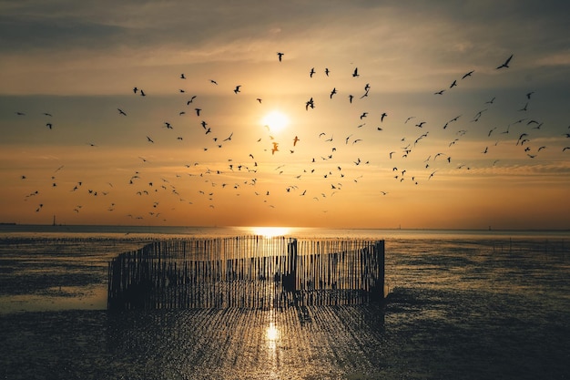 夕暮れの空に向かって海を飛ぶ鳥の群れ