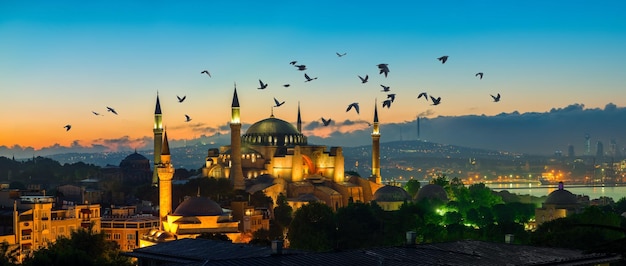 Flock of birds over mosque