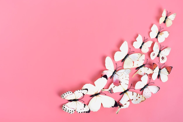 Flock of cabbage butterflies on pink background