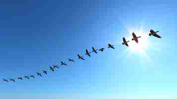 Photo a flock of geese flies through the sky in a vformation the sun is shining behind them the geese are flying south for the winter