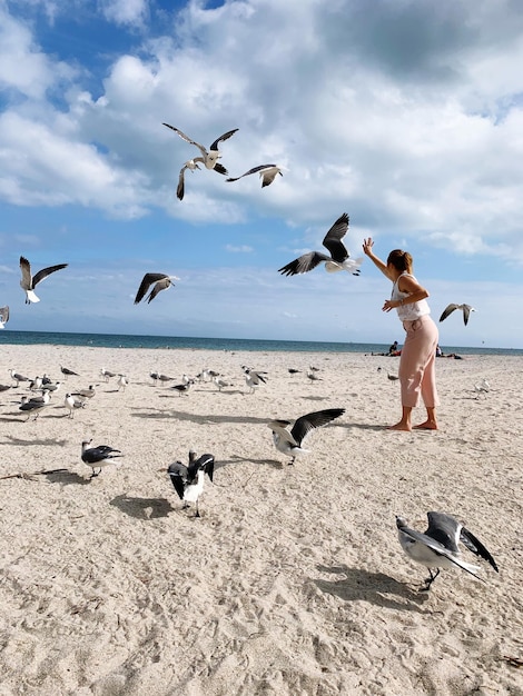 Photo flock of seagulls on beach