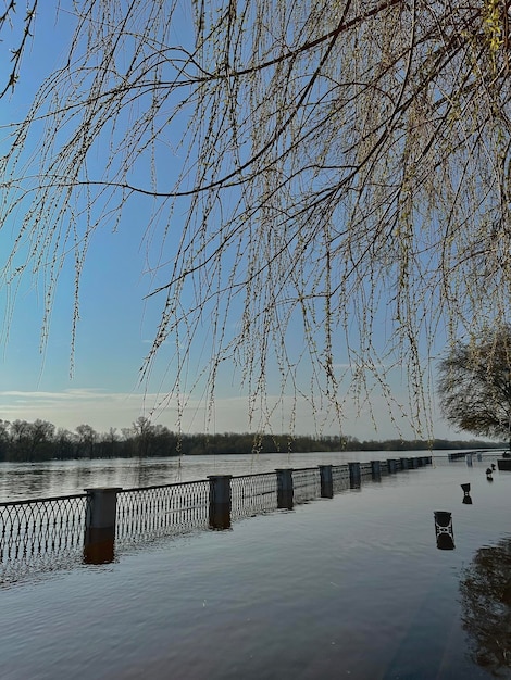 затопленная городская набережная