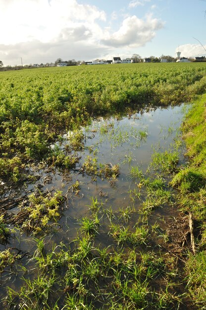 A flooded field in Brittany