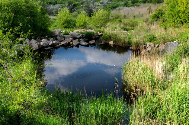 滝で氾濫した産業花崗岩のキャリア