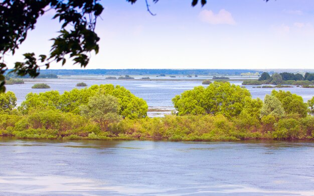 写真 春の氾濫した牧草地