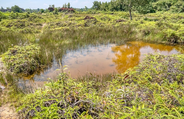 flooded rainwater at the quarry area