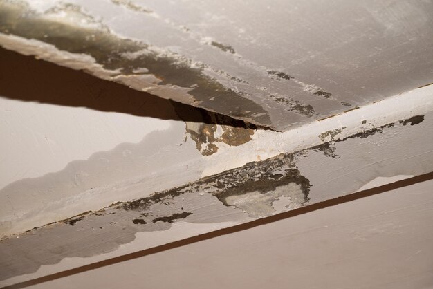 Photo flooding rainwater causing damage peeling paint and mildew