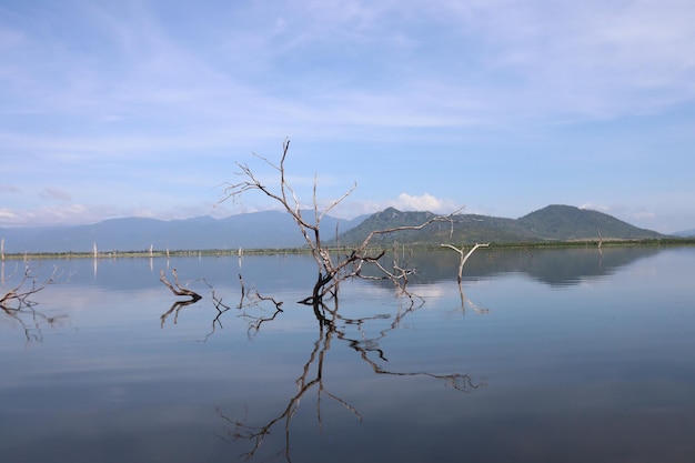 Flooding Season in Cambodia