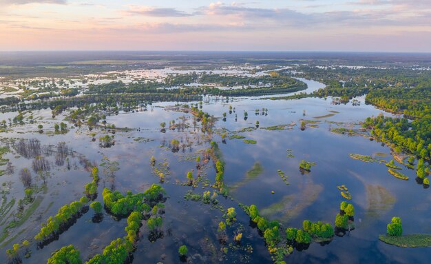 Фото Пойма реки припяк во время весеннего разлива