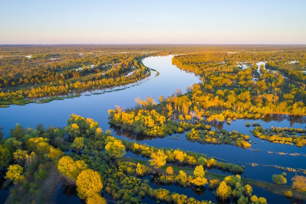 Floodplain of the river Prypiac' (Prypiat) in the morning