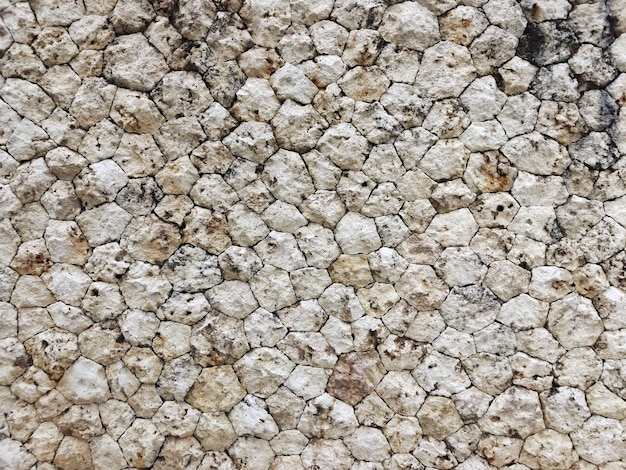 floor and wall stone texture background