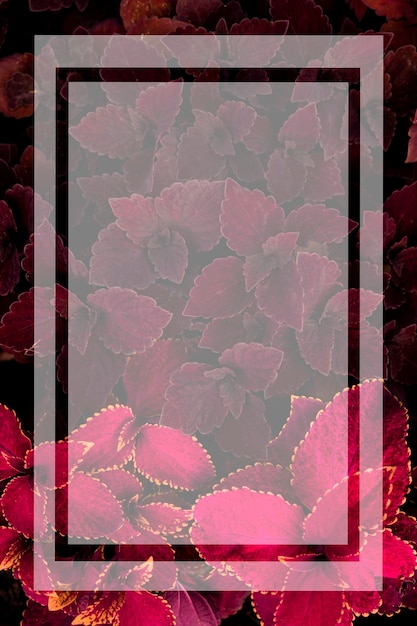 Flora background. Floral background for baren or advertising.