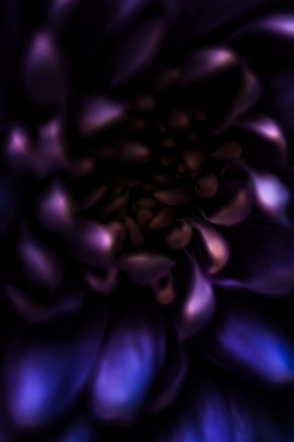 フローラのブランディングと愛のコンセプト紫のデイジーの花びらが咲く抽象的な花の花のアートバック...