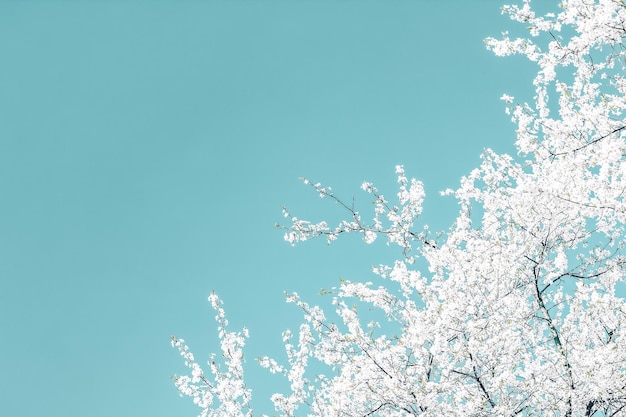 Цветочное абстрактное искусство на бирюзовом фоне винтажные цветы вишни как фон природы для роскошного праздничного дизайна