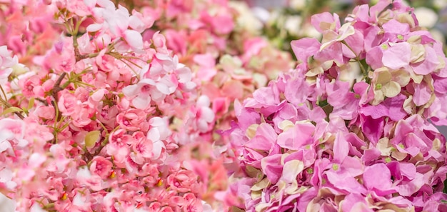 Floral achtergrond. muur met delicate roze bloemen