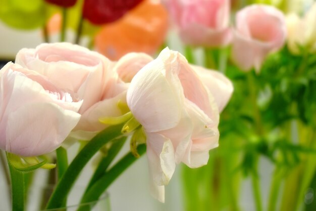 Floral achtergrond. Zachte kleuren voor kaarten. bloemen oogsten.