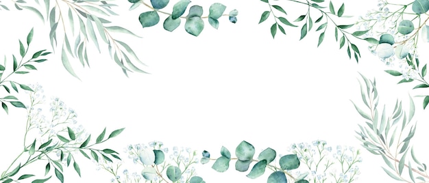 Floral aquarel banner groene eucalyptus pistache en gypsophila takken geïsoleerd op wit