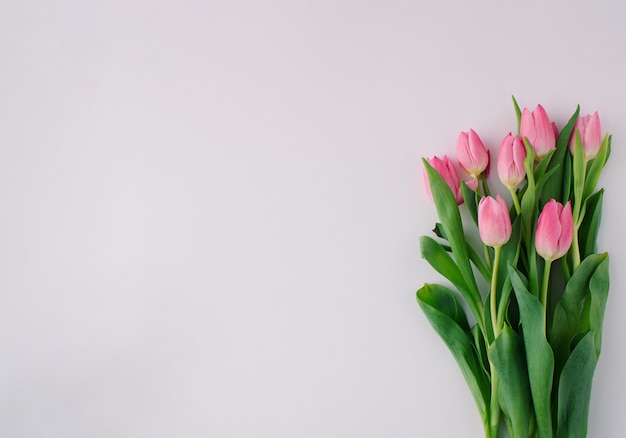 Floral arrangement met roze tulpen op lichte achtergrond. Minimaal begrip. Ruimte kopiëren.