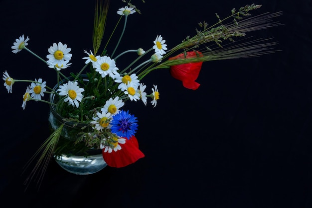 Floral arrangement of red poppies daisies cornflowers on a black background