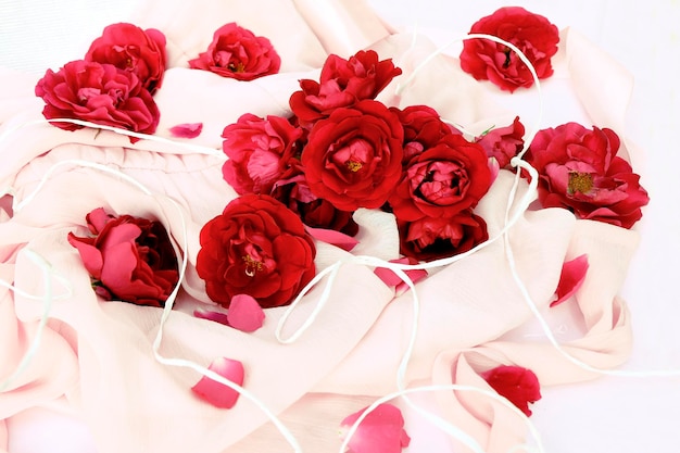 Floral arrangement of red roses on a light background.