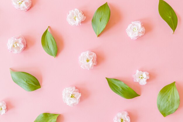 Disposizione floreale su foglie di ruscus e fiori di matthiola su carta rosa eith sfondo con texture