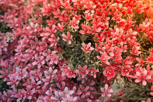 ビューで造花で作られた花の芸術