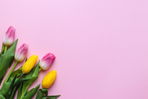 Floral background Beautiful tulip flowers against light pink texture with copy space for text