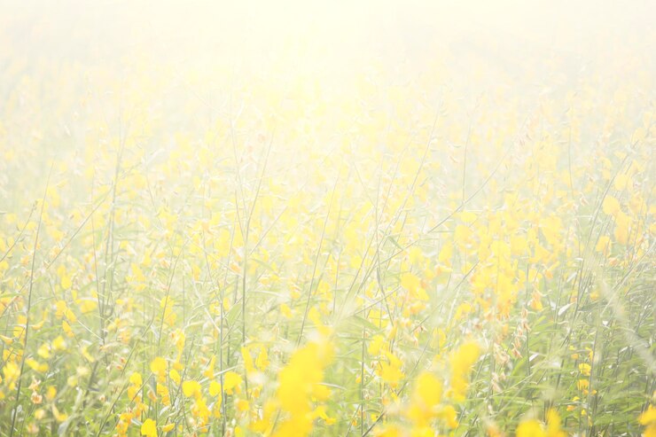 Photo パステル調に咲く花の背景